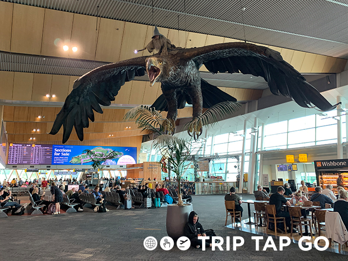 Airport Review: Wellington International Airport (WLG)