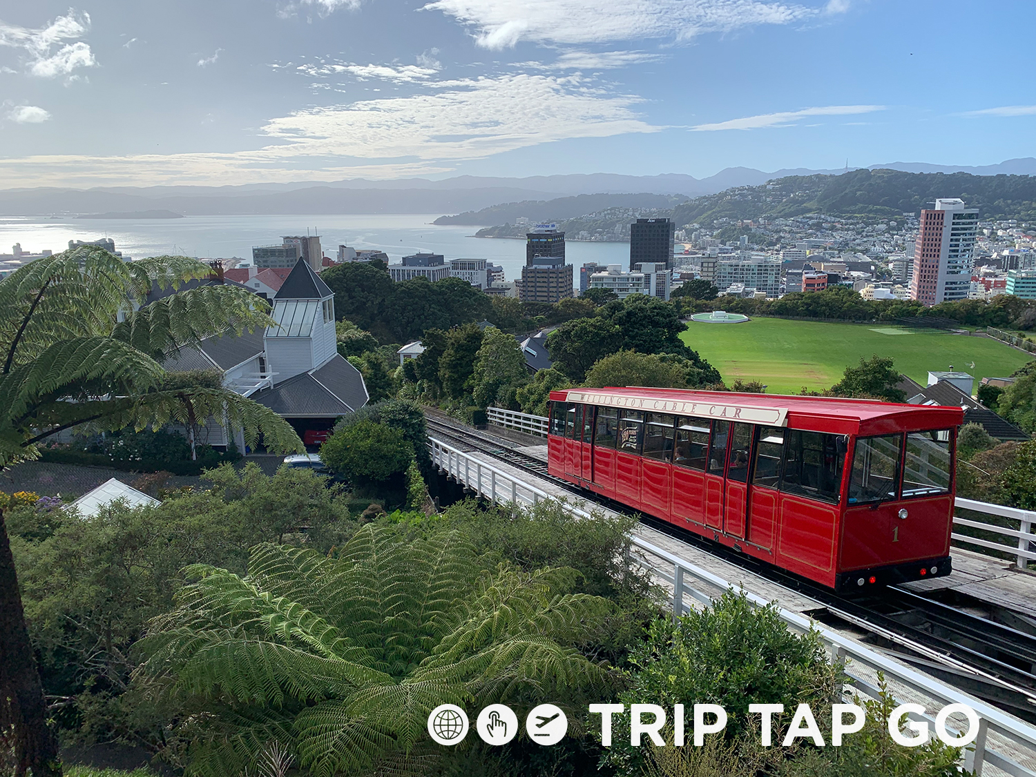 5 things to do in Wellington